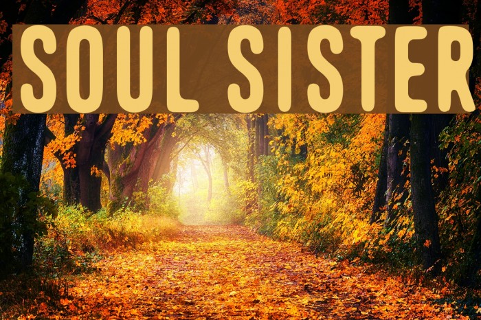 Soul Sister Font examples