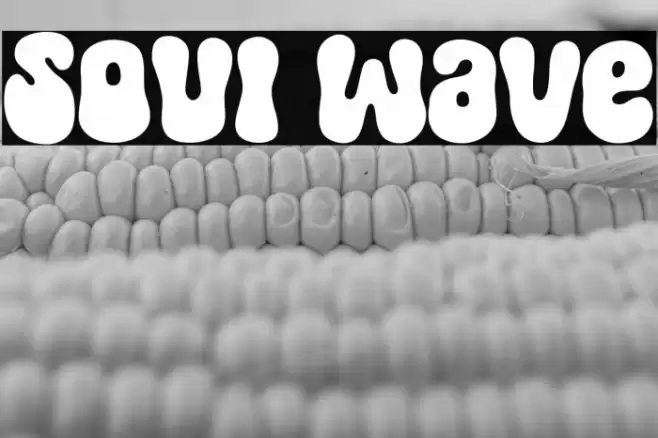 Soul Wave Font examples