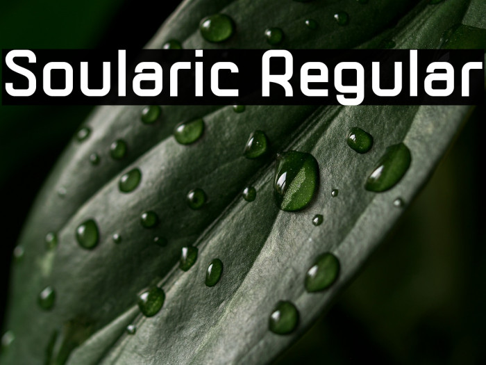 Soularic Regular Example 2