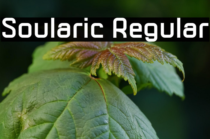 Soularic Regular Example 3