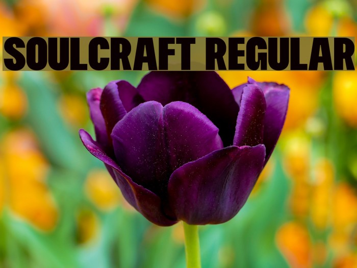 Soulcraft Regular Font examples