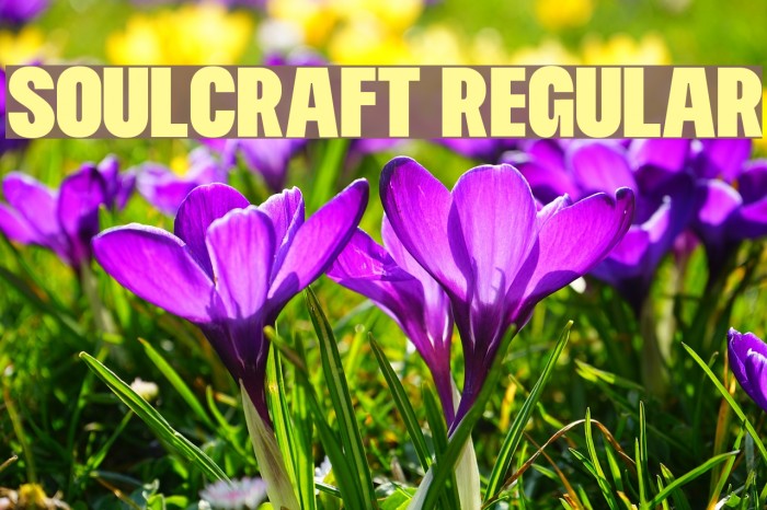 Soulcraft Regular Font examples