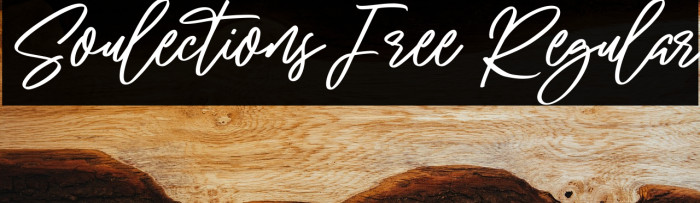 Soulections Free Regular Example 1