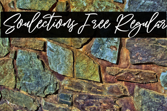 Soulections Free Regular Example 2