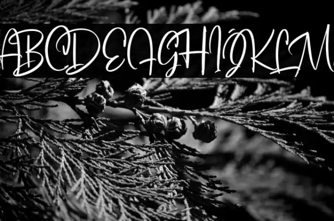 SoulgatesDemo Font examples