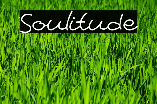 Soulitude Example 1