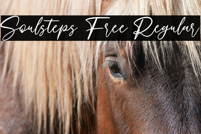 Soulsteps Free Regular Example 2