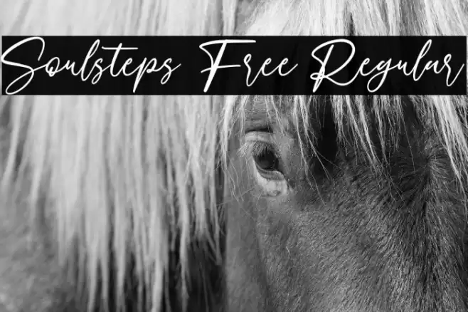 Soulsteps Free Regular Font examples