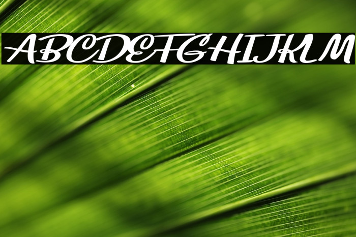 Soulstice Personal Use Regular Example 1