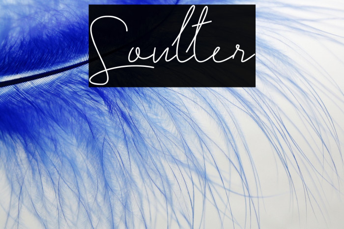 Soulter Example 1