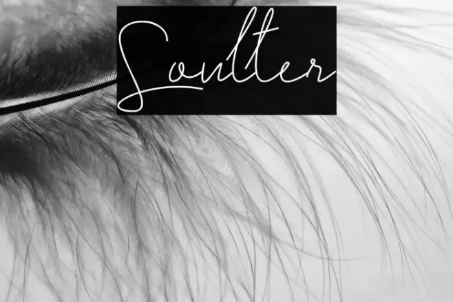 Soulter Font examples