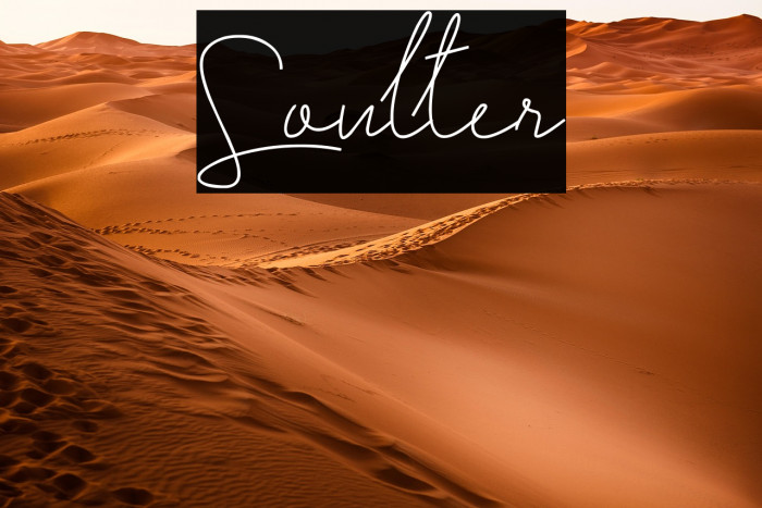 Soulter Example 2