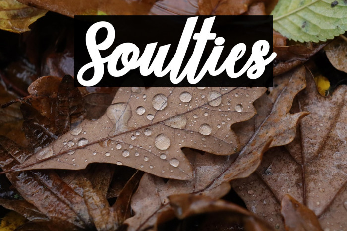 Soulties Example 3