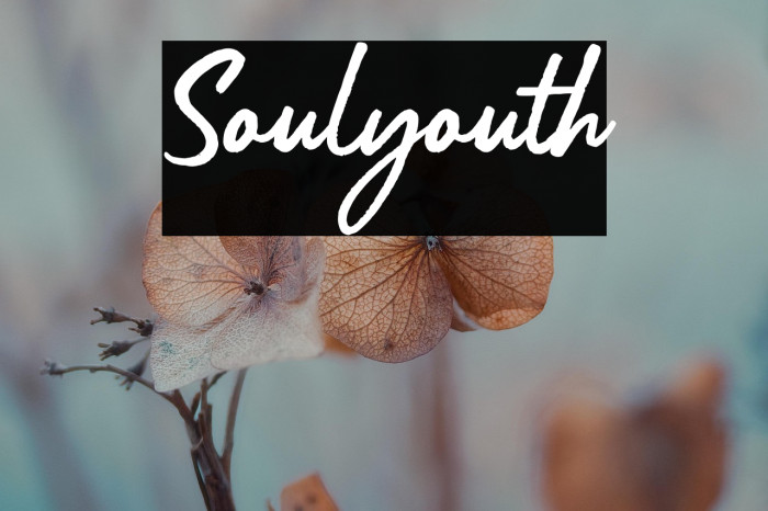 Soulyouth Example 1