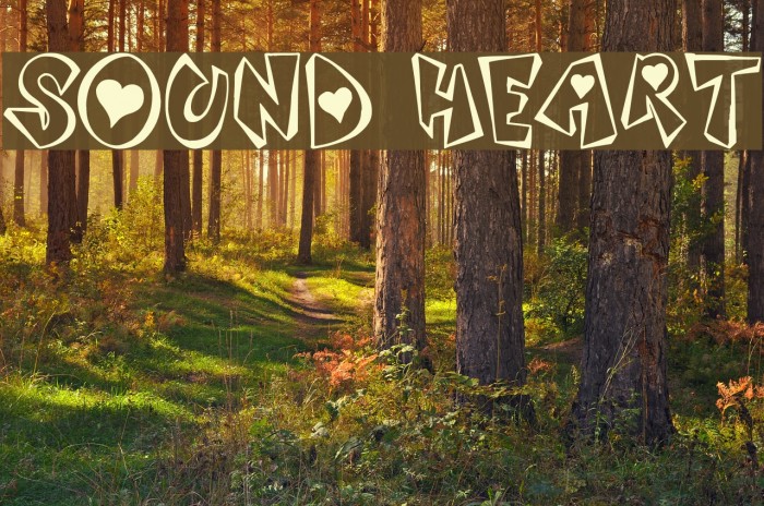 Sound Heart Font examples