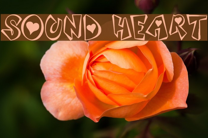 Sound Heart Font examples