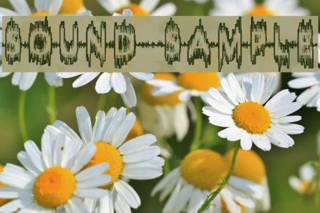 Sound-Sample Example 1