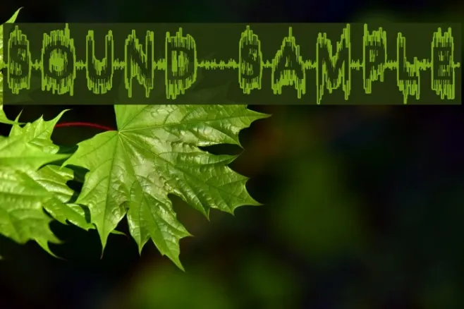 Sound-Sample Example 3
