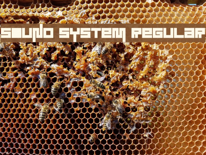 Sound System Regular Font examples