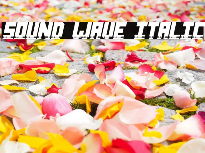 Sound Wave Italic Example 1