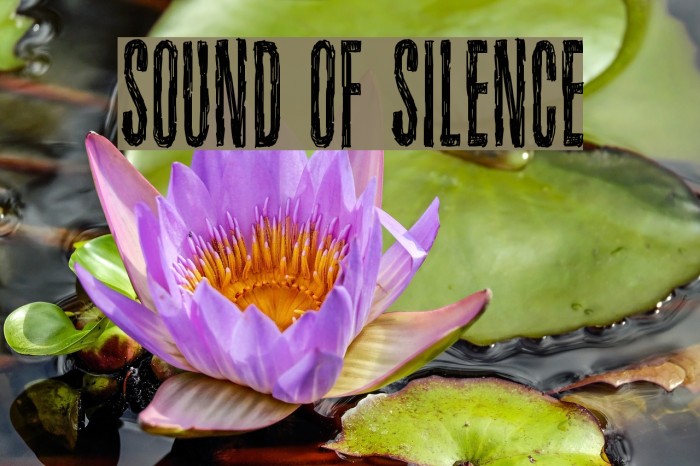 Sound of silence Font examples