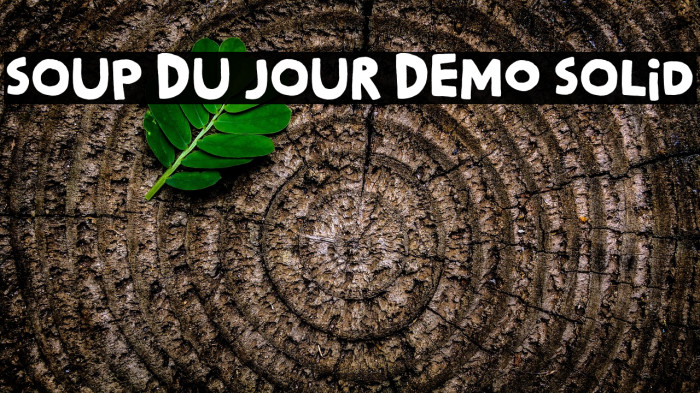 Soup Du Jour DEMO Solid Example 2