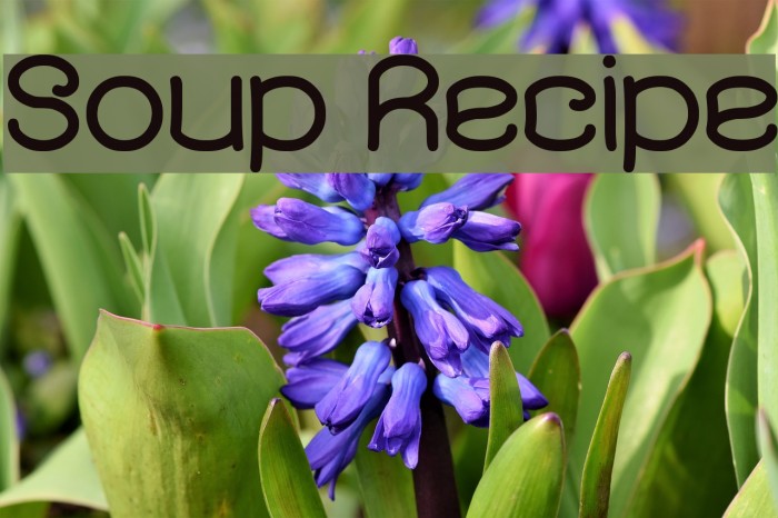 Soup Recipe フォント examples