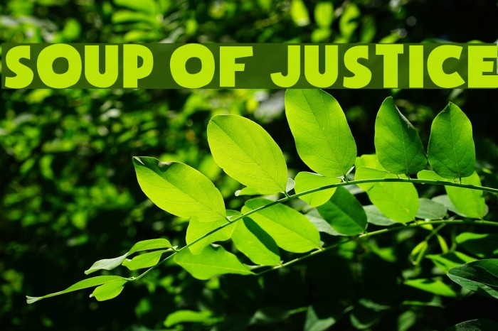 Soup of Justice Fonte examples
