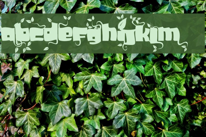 SoupLeaf Font examples