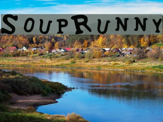 SoupRunny Example 1