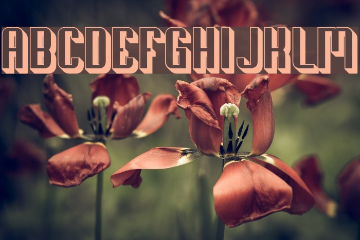 Soupertrouper 3D Font examples