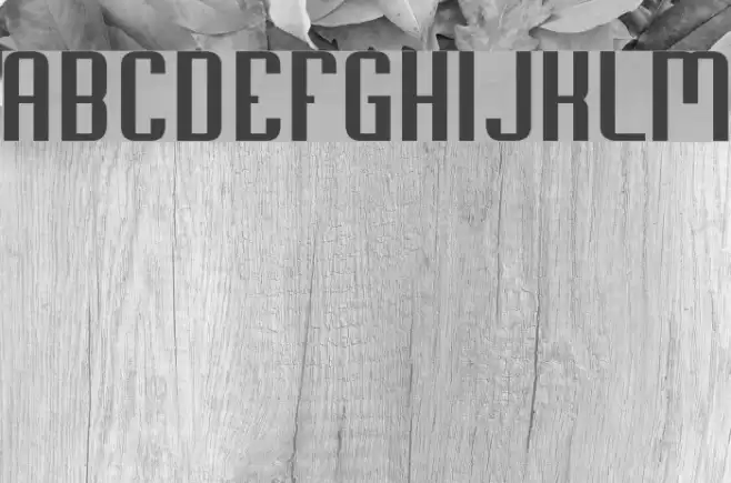 Soupertrouper Regular Fuentes examples