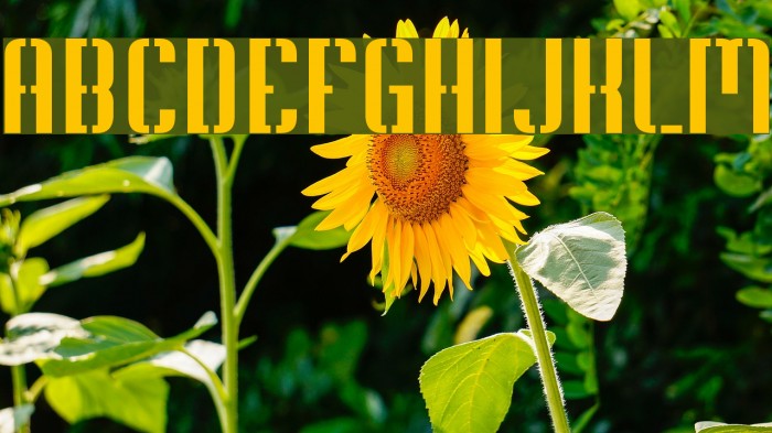 Soupertrouper Stencil Font examples