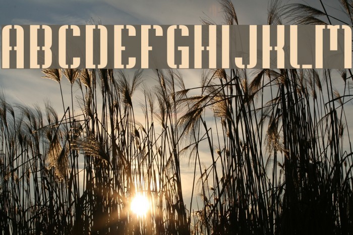 Soupertrouper Stencil Font examples