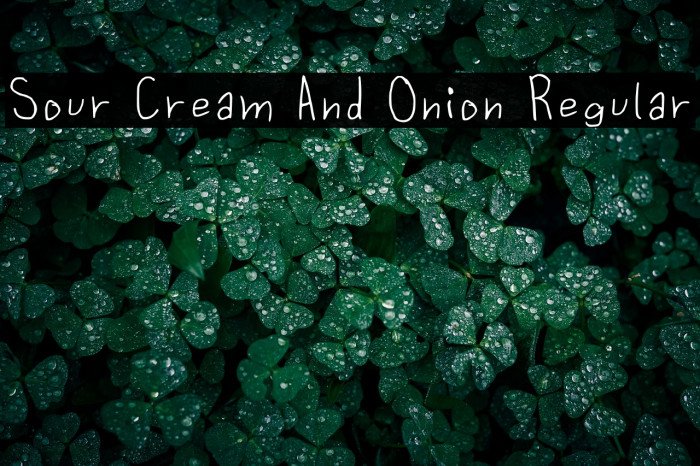 Sour Cream And Onion Regular Example 3