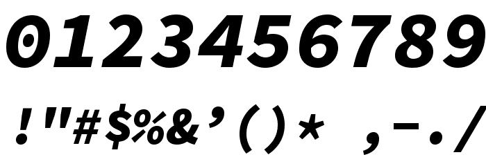 Source Code Pro Black Italic Font OTHER CHARS