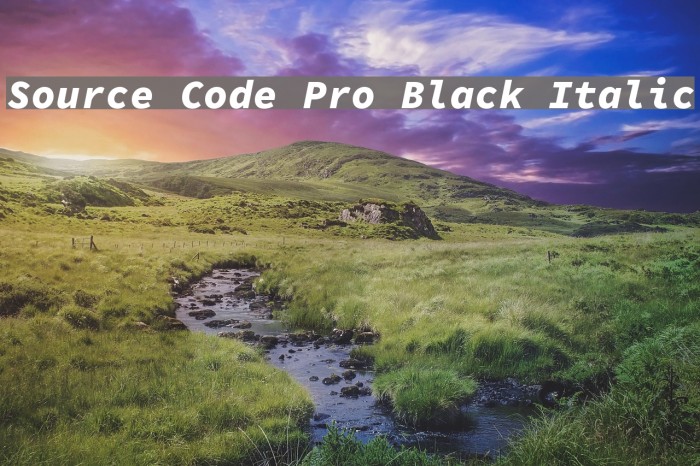 Source Code Pro Black Italic Font examples