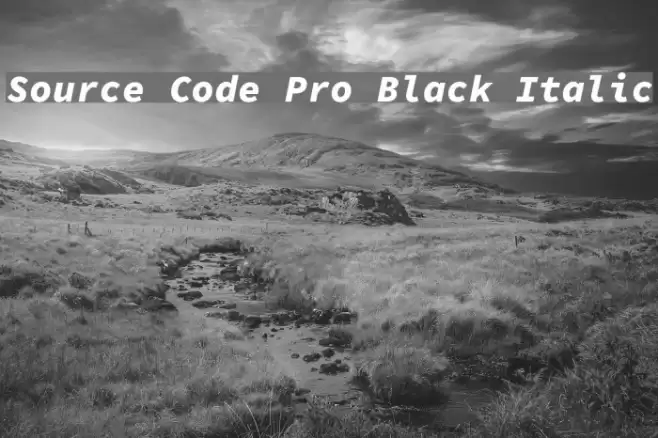 Source Code Pro Black Italic  examples