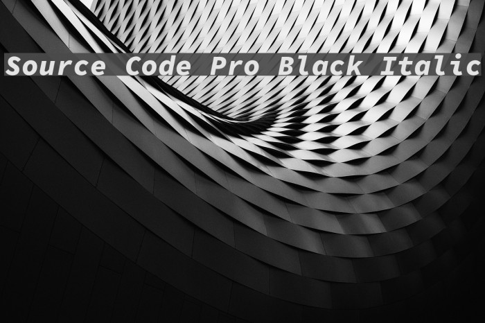 Source Code Pro Black Italic Font examples