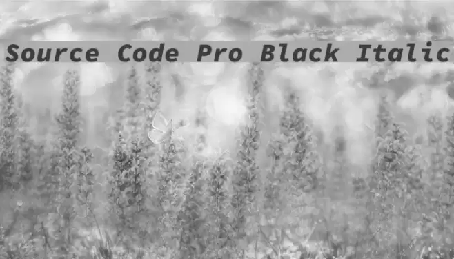 Source Code Pro Black Italic  examples