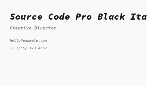 Source Code Pro Black Italic Business Card