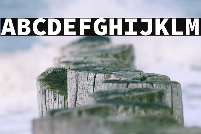 Source Code Pro Black Example 2