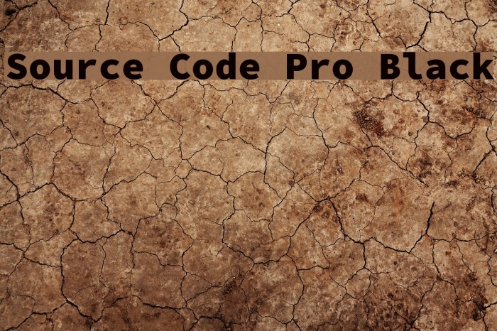 Source Code Pro Black Font examples