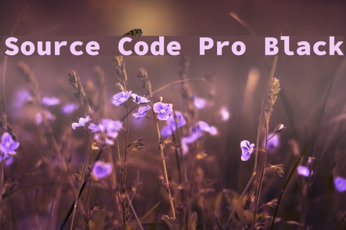 Source Code Pro Black Font examples