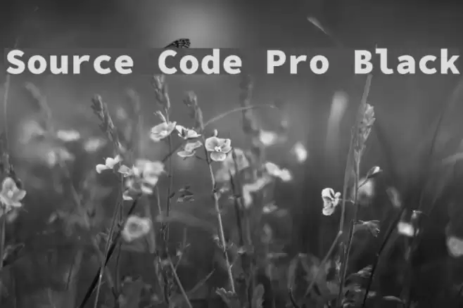 Source Code Pro Black Schriftart examples