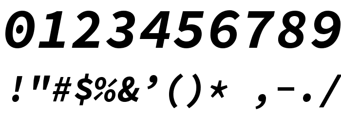 Source Code Pro Bold Italic Font OTHER CHARS