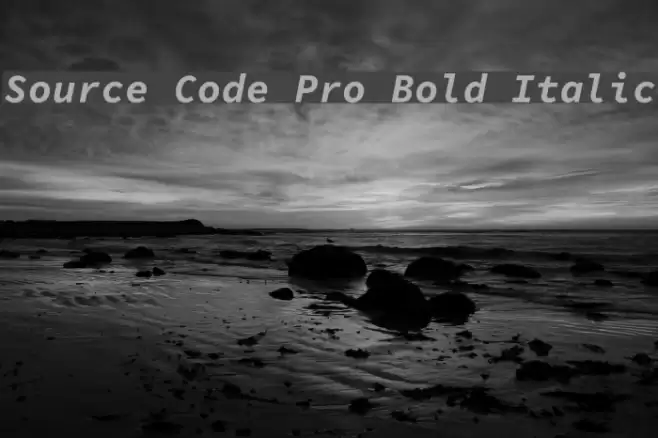 Source Code Pro Bold Italic Font examples