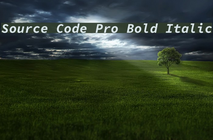 Source Code Pro Bold Italic Font examples