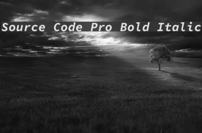 Source Code Pro Bold Italic Font examples