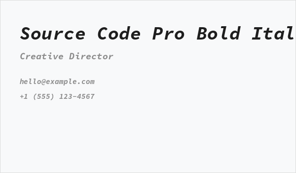 Source Code Pro Bold Italic Business Card